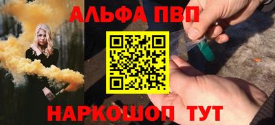 СК Кингисепп