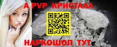 СК Кингисепп