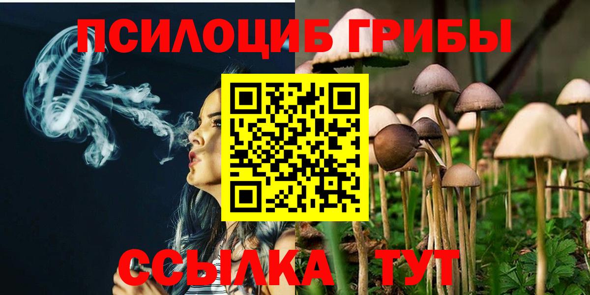 Уссурийск  Псилоцибиновые грибы мицелий  Вход с VPN 
